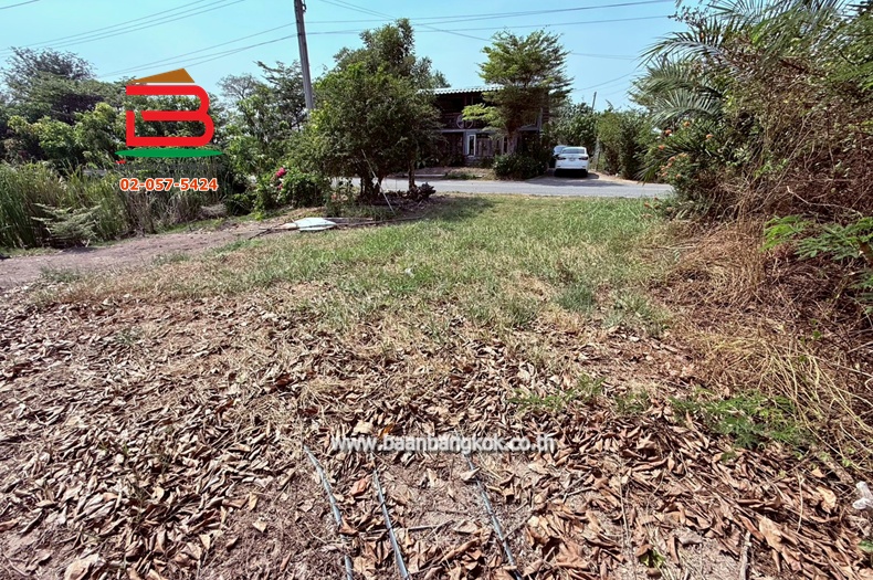 LINE_ALBUM_No.011644 ที่ดินบางใหญ่_260212_5