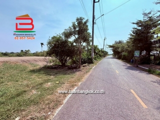 LINE_ALBUM_No.011644 ที่ดินบางใหญ่_260212_1