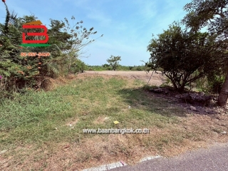 LINE_ALBUM_No.011644 ที่ดินบางใหญ่_260212_4