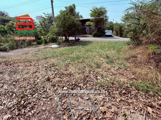 LINE_ALBUM_No.011644 ที่ดินบางใหญ่_260212_5