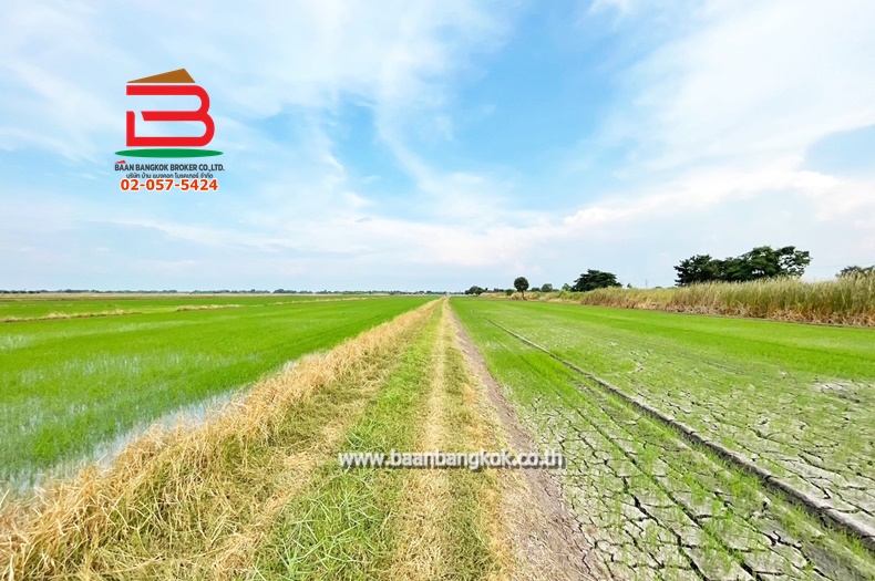 3-LINE_ALBUM_10019ที่ดินเปล่า5ไร่ 2.99MBคู้คลองสิบแยก12 ม7 ยะ_241118_1113