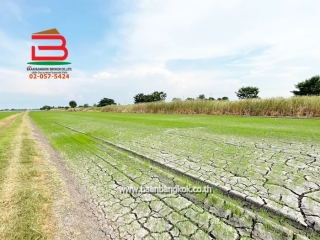 3-LINE_ALBUM_10019ที่ดินเปล่า5ไร่ 2.99MBคู้คลองสิบแยก12 ม7 ยะ_241118_713