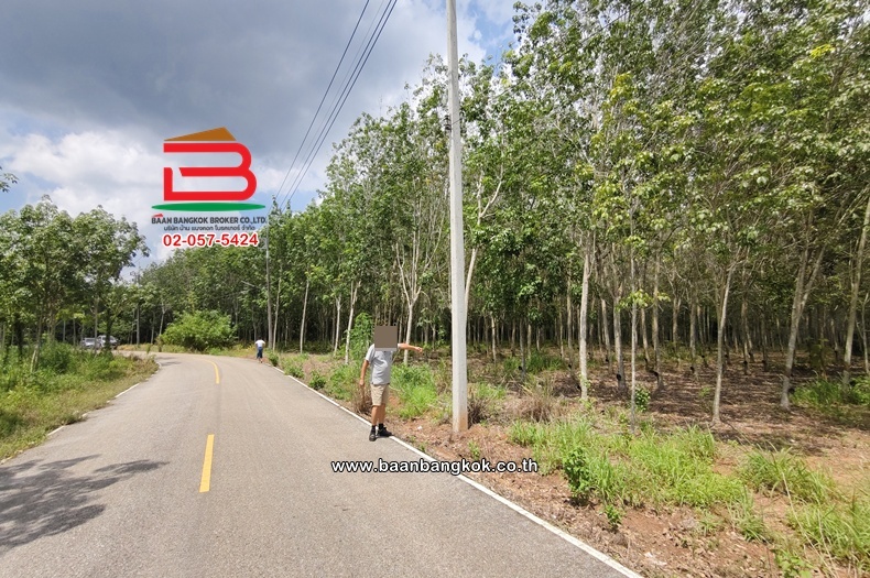 ที่ดินเปล่า เนื้อที่ 32-0-30 ไร่ ใกล้สนามกีฬาอำเภอวังจันทร์ ถนนสาย 344 (บ้านบึง-แกลง) ตำบลพลงตาเอี่ยม อำเภอวังจันทร์ จังหวัดระยอง