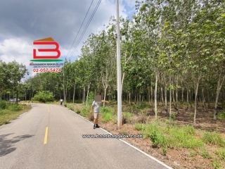 12297, ที่ดินเปล่า เนื้อที่ 32-0-30 ไร่ ใกล้สนามกีฬาอำเภอวังจันทร์ ถนนสาย 344 (บ้านบึง-แกลง) ตำบลพลงตาเอี่ยม อำเภอวังจันทร์ จังหวัดระยอง