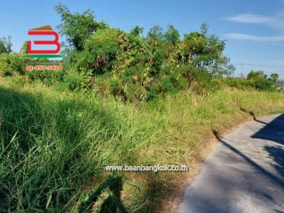 LINE_ALBUM_No.011382ที่ดินเปล่า 12-3-92.7ไร่ ต.ศาลารีไทย .ต้น_251208_10