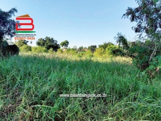 LINE_ALBUM_No.011382ที่ดินเปล่า 12-3-92.7ไร่ ต.ศาลารีไทย .ต้น_251208_11