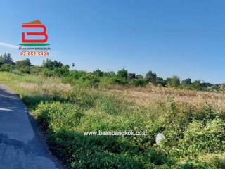 LINE_ALBUM_No.011382ที่ดินเปล่า 12-3-92.7ไร่ ต.ศาลารีไทย .ต้น_251208_12