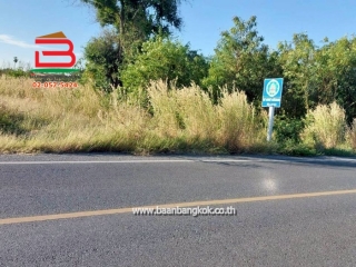 LINE_ALBUM_No.011382ที่ดินเปล่า 12-3-92.7ไร่ ต.ศาลารีไทย .ต้น_251208_16