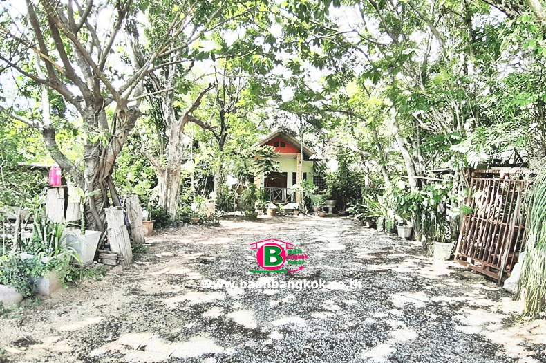 ที่ดินพร้อมบ้านเดี่ยว 1 ชั้น+บ้านพัก 1 หลัง+เรือนรับรอง 1 หลัง ซอยเปี่ยมรัก-หนองจอก ซอย 2 เนื้อที่ 709 ตรว. มี 1 ห้องนอน 3 ห้องน้ำ ถนนมิตรภาพ เมืองสระบุรี