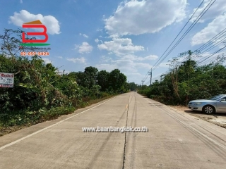 LINE_ALBUM_N.11611LD332ตร.ว. อำเภอบ่อทอง จังหวัดชลบุรี_260209_1