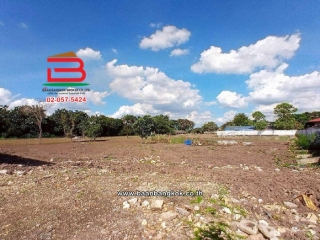 S__3399683_0