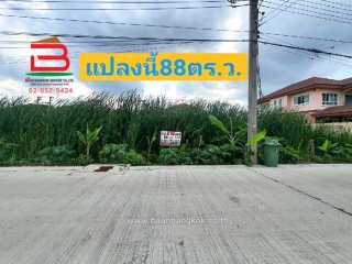 07603, ที่ดินเปล่า พุทธมณฑลสาย 4 เนื้อที่ 88 ตรว. ถนนบรมราชชนนี เขตตลิ่งชัน