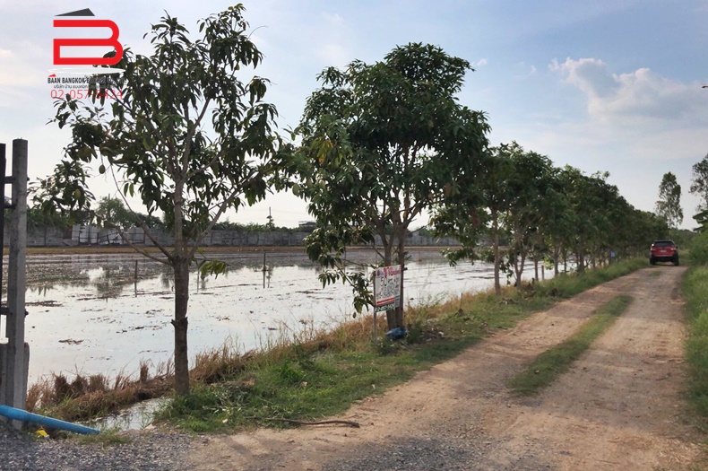 12N04107. LD 50 วา. ถ.คลองถนน ต. บ้านให อ. บางใหญ่_210519_113