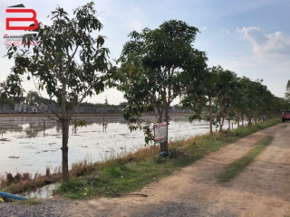 12N04107. LD 50 วา. ถ.คลองถนน ต. บ้านให อ. บางใหญ่_210519_113