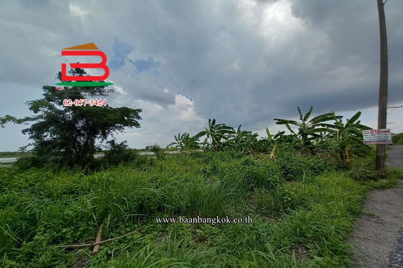 ที่ดินถมแล้ว ซอยวัดราษฎร์บำรุงศักดิ์ เนื้อที่ 70 ตรว. ถนนองค์รักษ์-บางน้ำเปรี้ยว ตำบลดอนเกาะกา อำเภอบางน้ำเปรี้ยว จังหวัดฉะเชิงเทรา