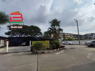 3-Photoroom (2)