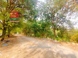 LINE_ALBUM_List no.07065ที่ดิน2ไร่สายไหม60Lek_220210_10