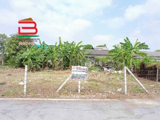 11573, ขาย/เช่า ที่ดินถมแล้ว หมู่บ้านฉัตรหลวง เนื้อที่ 120 ตรว. ถนนกาญจนาภิเษก อ.ไทรน้อย จ.นนทบุรี