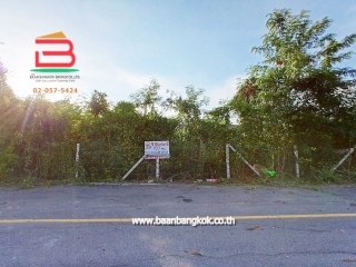 10500, ขาย/เช่า ที่ดินถมแล้ว หมู่บ้านฉัตรหลวง เนื้อที่ 120 ตรว. ถนนกาญจนาภิเษก อ.ไทรน้อย จ.นนทบุรี