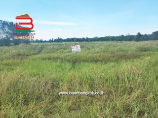 11282, ที่ดินเปล่า วัดโพธิ์แทน เนื้อที่ 1-1-87 ไร่ ถนนปทุมธานี-นครนายก ตำบลบางปลากด อำเภอองครักษ์ จังหวัดนครนายก