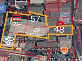 3-LINE_ALBUM_N0.ที่ดิน+อพาร์ทเม้นท์พหล45(กรมป่าไม้_๒๓๐๕๐๒_3313