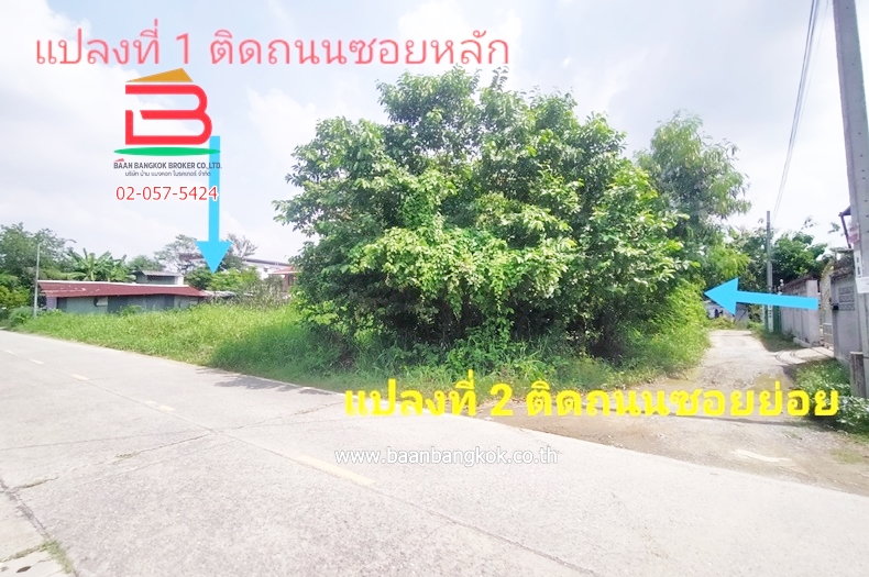 ที่ดินเปล่า ซ.สองพี่น้อง(คลองถนน) ใกล้สถานีรถไฟฟ้าคลองบางไผ่ เนื้อที่ 141 ตรว. ถ.กาญจนาภิเษก อ.บางใหญ่ จ.นนทบุรี