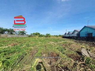 11265, ที่ดินเปล่า เนื้อที่ 1-2-91 ไร่ ซอยกำนันเย็นอุทิศ 2, ใกล้นิคมอุตสาหกรรมลาดกระบัง ถนนเลียบคลองลำกอไผ่ แขวงลำปลาทิว เขตลาดกระบัง      