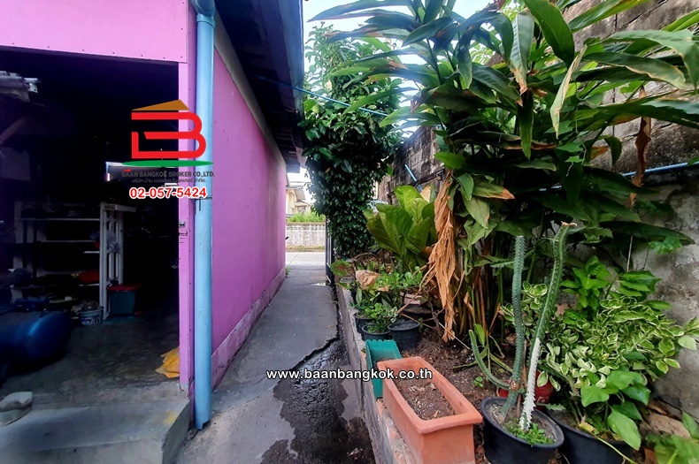 3-LINE_ALBUM_N.09157 LD+H 74ตร.ว.งามวงศ์วาน 9แยก11_240325_413