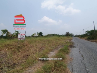 LINE_ALBUM__09282ที่ดินหนองเสือ100ตรว._240506_19