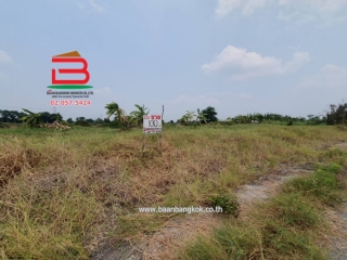 10206, ที่ดินเปล่า (3 แปลง) หลังสถานีอนามัยบึงชำอ้อ คลองแปด เนื้อที่ 300 ตรว. ถนนรังสิต-นครนายก ตำบลบึงชำอ้อ อำเภอหนองเสือ จังหวัดปทุมธานี  
