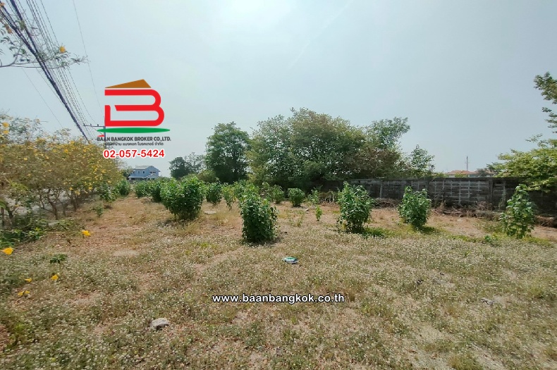 LINE_ALBUM_N.09351 ที่ดิน 560 ตรว. ม.สราญธร คลอง 4_240506_5