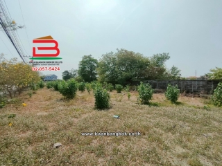 LINE_ALBUM_N.09351 ที่ดิน 560 ตรว. ม.สราญธร คลอง 4_240506_5