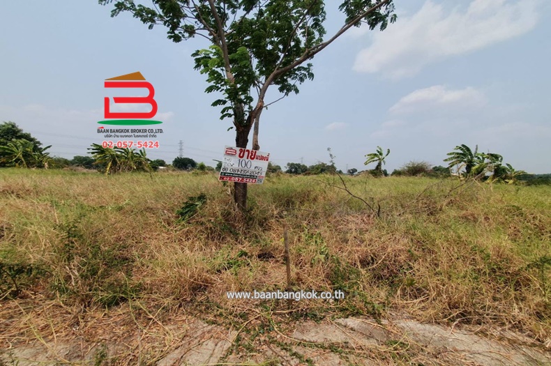 3-LINE_ALBUM__09283ที่ดินหนองเสือ100วา บึงชำอ้อ_240506_1913