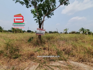 3-LINE_ALBUM__09283ที่ดินหนองเสือ100วา บึงชำอ้อ_240506_1913