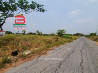 3-LINE_ALBUM__09283ที่ดินหนองเสือ100วา บึงชำอ้อ_240506_1813