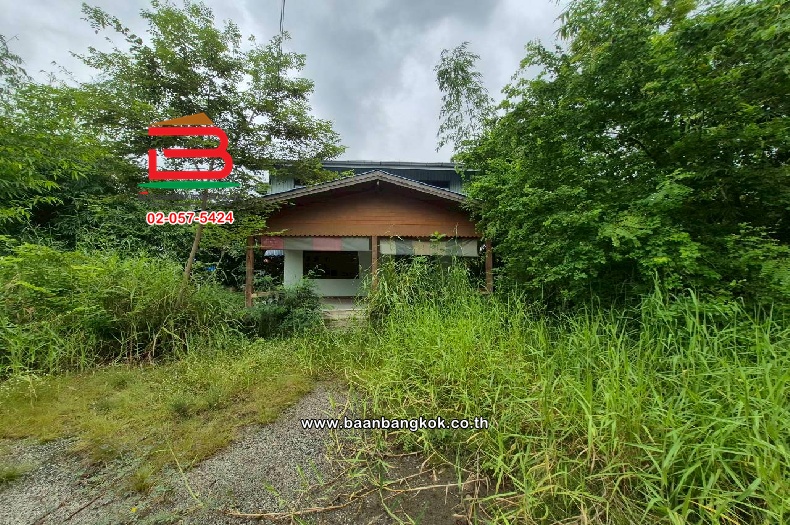 LINE_ALBUM_10681 ขอเปลี่ยนรูป อัพเดทใหม่_251002_11