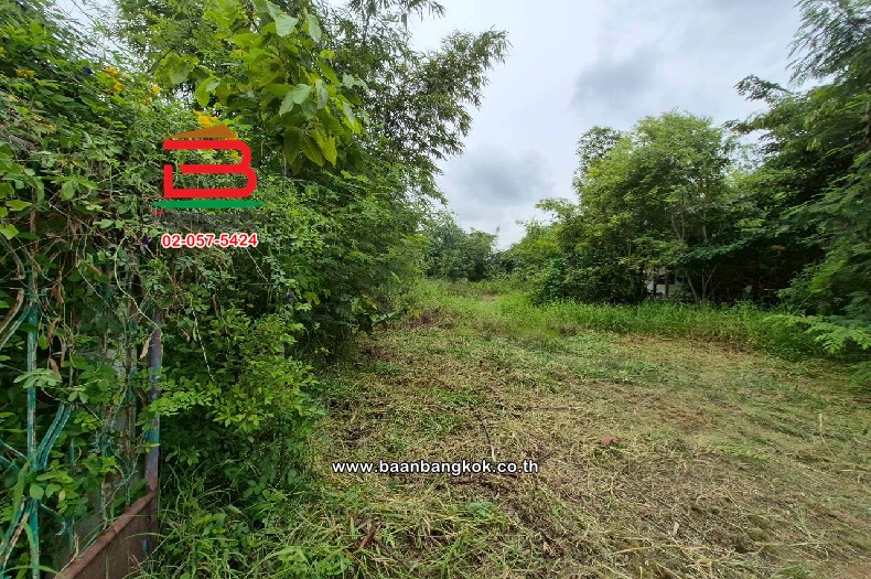 LINE_ALBUM_10681 ขอเปลี่ยนรูป อัพเดทใหม่_251002_12