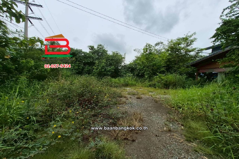 LINE_ALBUM_10681 ขอเปลี่ยนรูป อัพเดทใหม่_251002_6