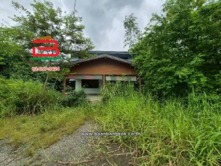 LINE_ALBUM_10681 ขอเปลี่ยนรูป อัพเดทใหม่_251002_11