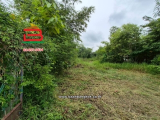 LINE_ALBUM_10681 ขอเปลี่ยนรูป อัพเดทใหม่_251002_12