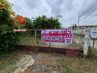 10681, ขาย/เช่า ที่ดินพร้อมสิ่งปลูกสร้าง หนองบัว-บ้านโพธิ์ (ติดถนนสุขประยูร) เนื้อที่ 401 ตร.ว (ติดมาย-กรีน@ศุขประยูร-บ้านโพธิ์) ตำบลหนองบัว อำเภอบ้านโพธิ์ จังหวัดฉะเชิงเทรา  