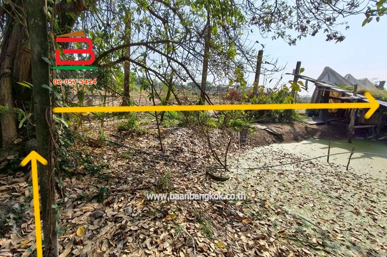 LINE_ALBUM_L.11463ที่ดิน110วานิมิตรใหม่62Lek_260127_30