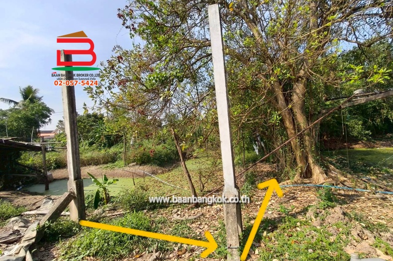 LINE_ALBUM_L.11463ที่ดิน110วานิมิตรใหม่62Lek_260127_31