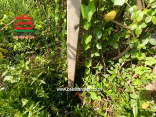 LINE_ALBUM_L.11463ที่ดิน110วานิมิตรใหม่62Lek_260127_36