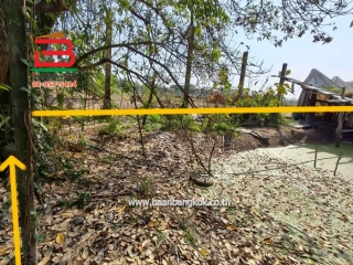 LINE_ALBUM_L.11463ที่ดิน110วานิมิตรใหม่62Lek_260127_30