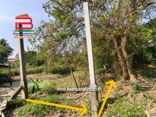 LINE_ALBUM_L.11463ที่ดิน110วานิมิตรใหม่62Lek_260127_31