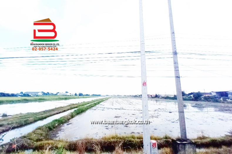 LINE_ALBUM_No.09863ที่ดินเปล่า84-1-19ไร่ติดถนนเลียบตะวันอ._240930_8