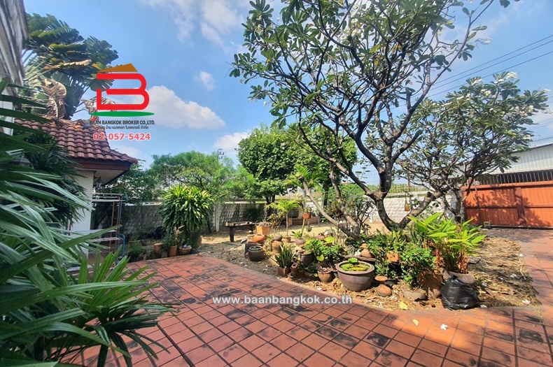 LINE_ALBUM_No.10112 บด 2ชั้นม.สหกรณ์_241209_14