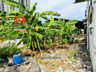 LINE_ALBUM_N.10028 LD 217 ใกล้แยกแคราย_241224_6