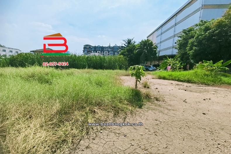 3-LINE_ALBUM_N.10031LD141ม.สหกรณ์3ซ.3_241224_513